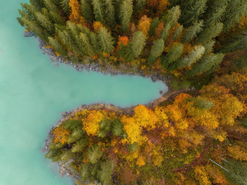 Autumn colors