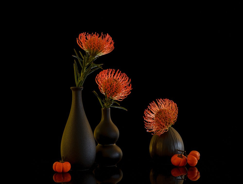 still life 105