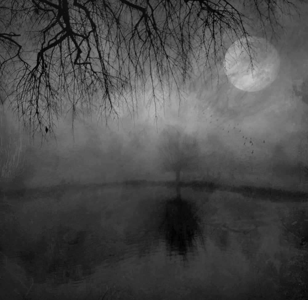 November Moon