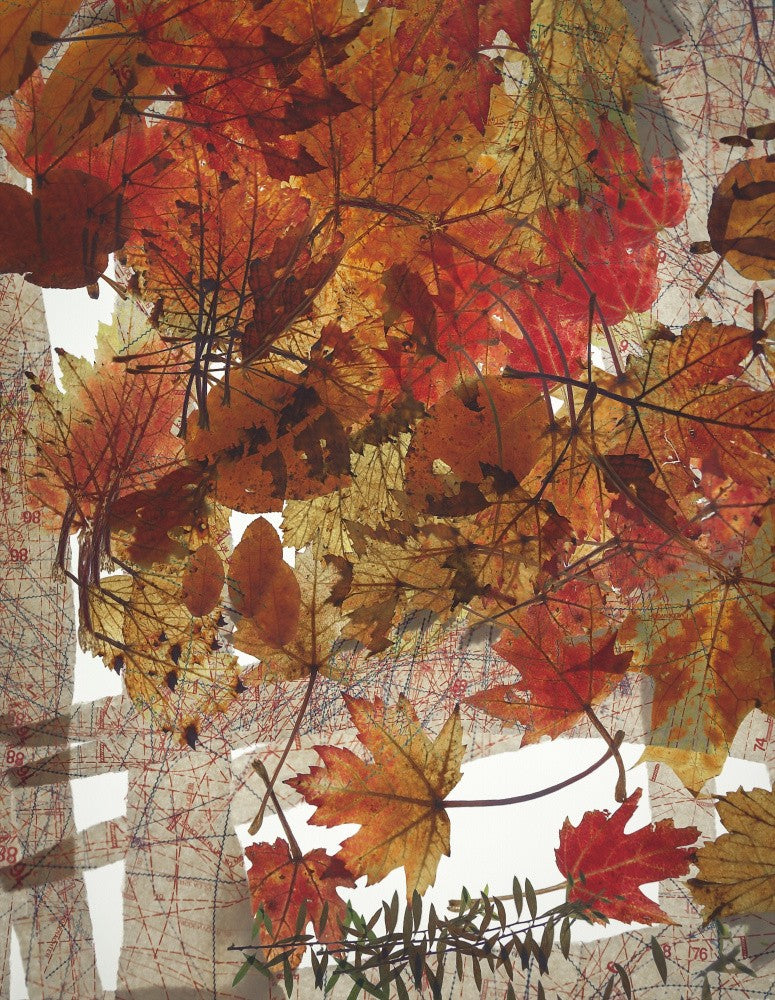 Autumn fantasy