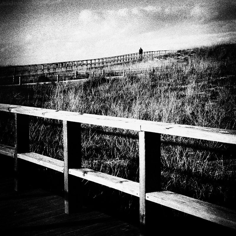 White Summer