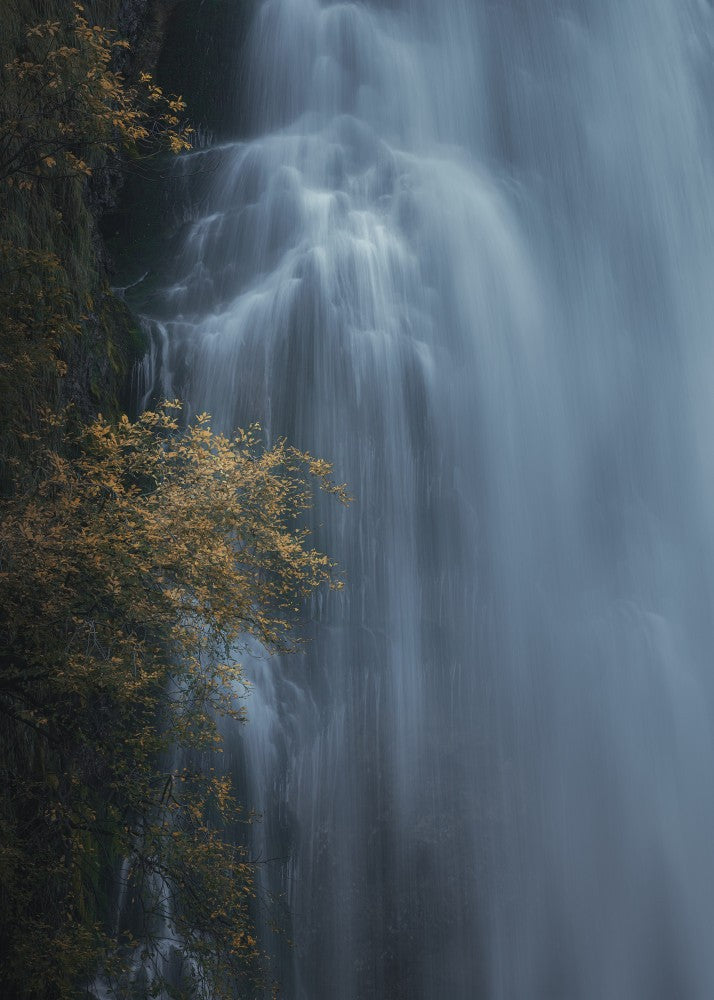 The Cold Caress