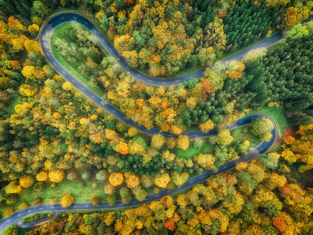 autumn road