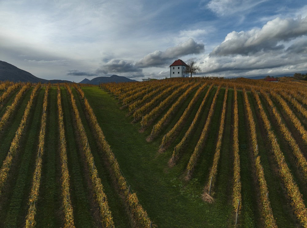 Zlati grič, Slovenia