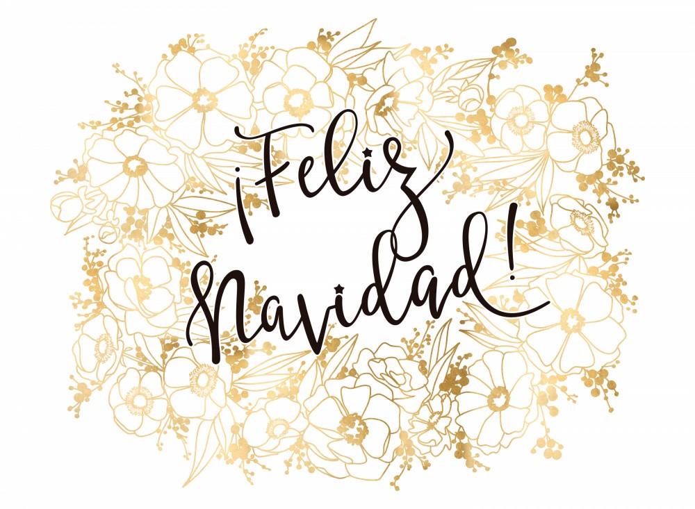 Feliz Navidad with golden flowers