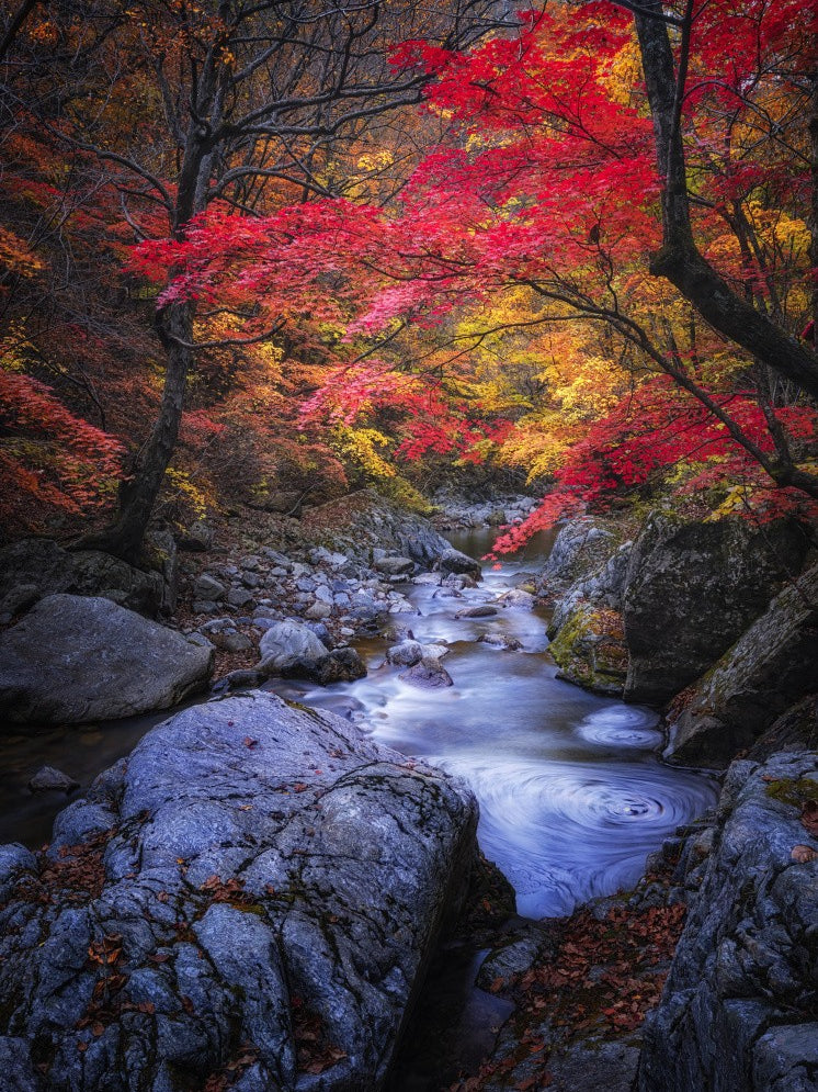Autumn in the valley
