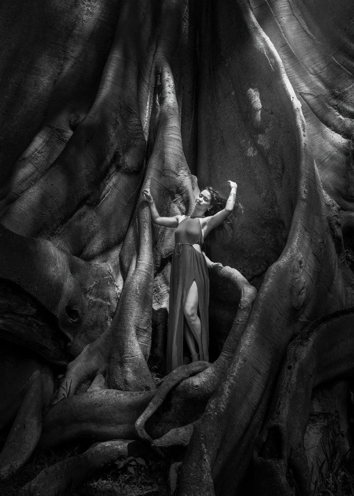 Woman and The Old tree