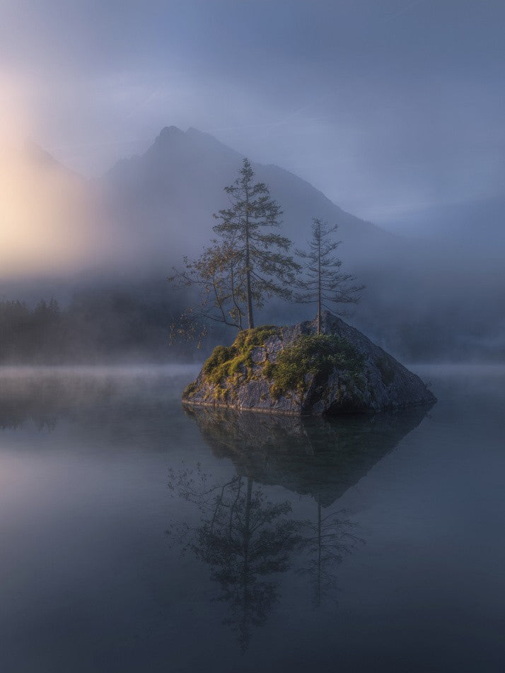 Misty Morning Solitude