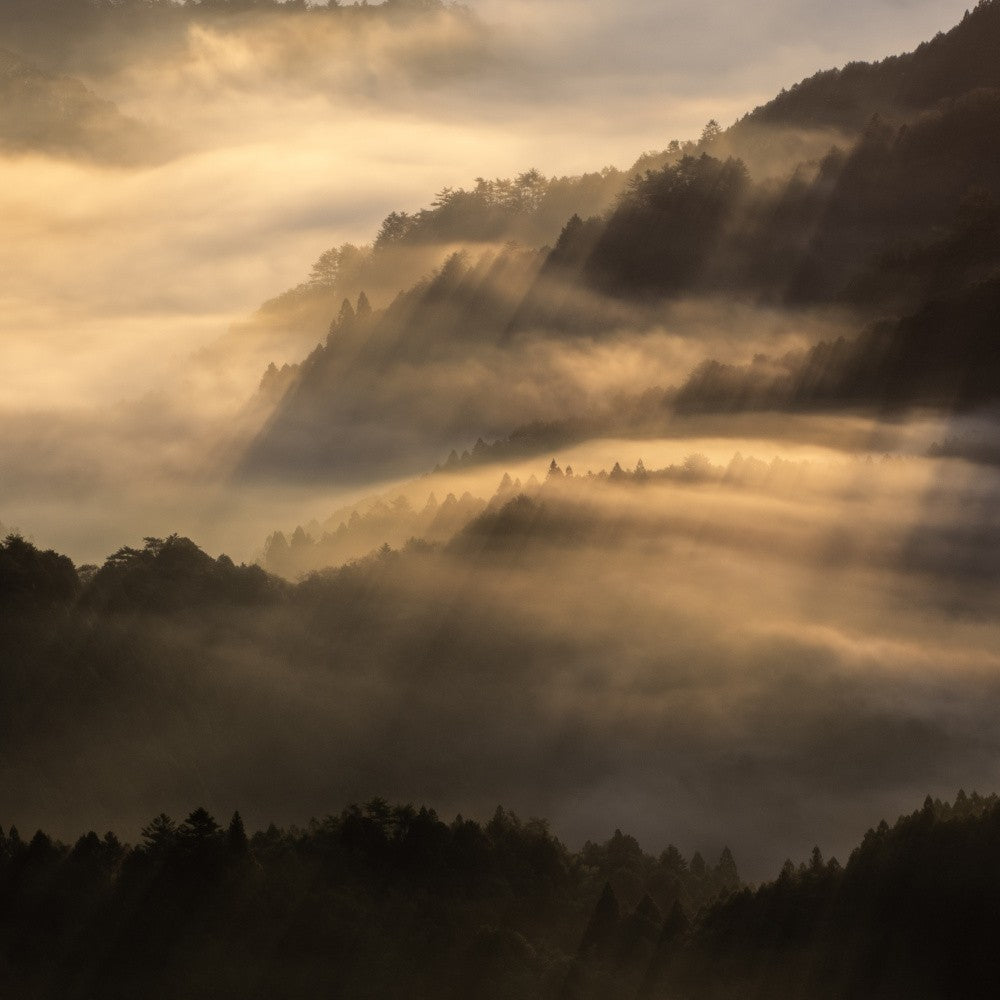 The light shines down