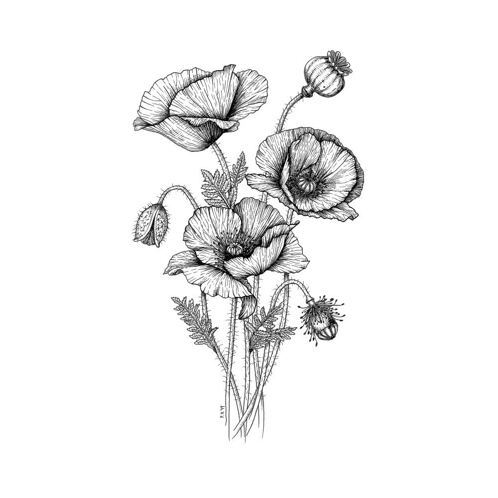 Mohnblumen