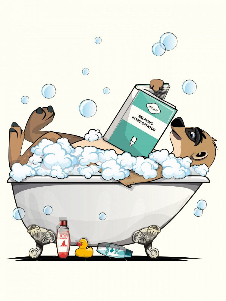 Meerkat In Bath