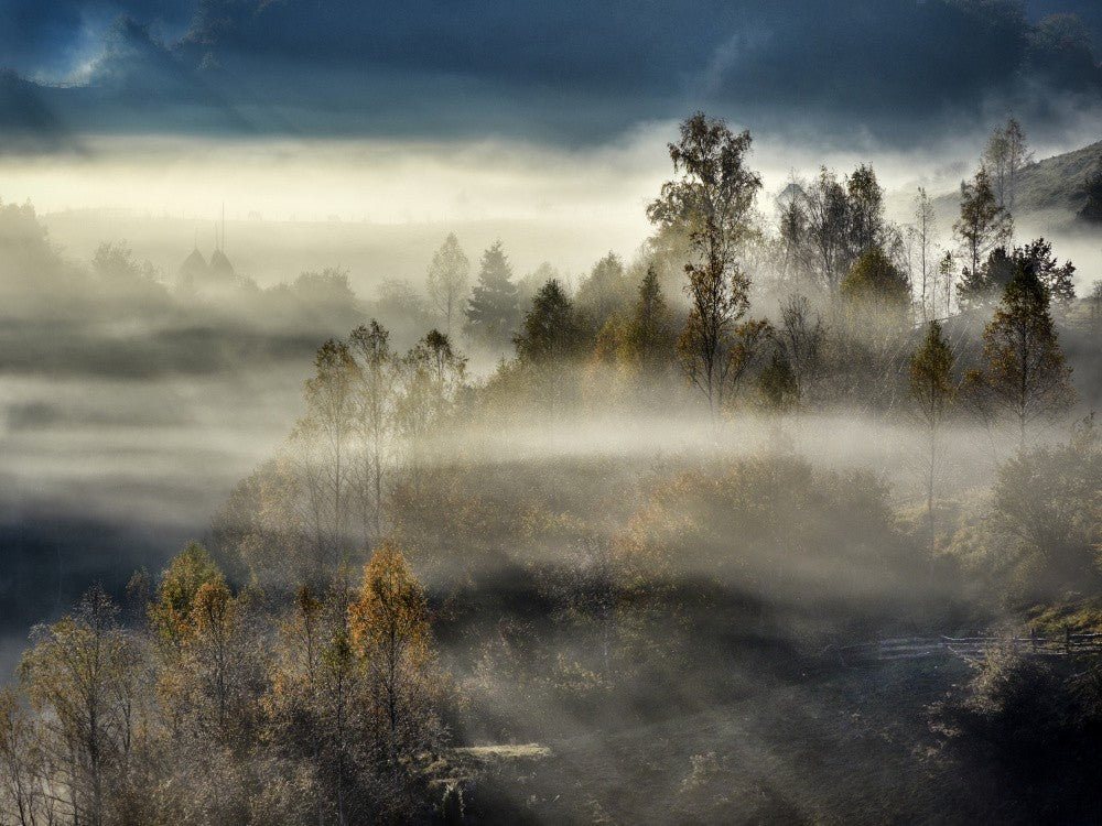 Misty morning