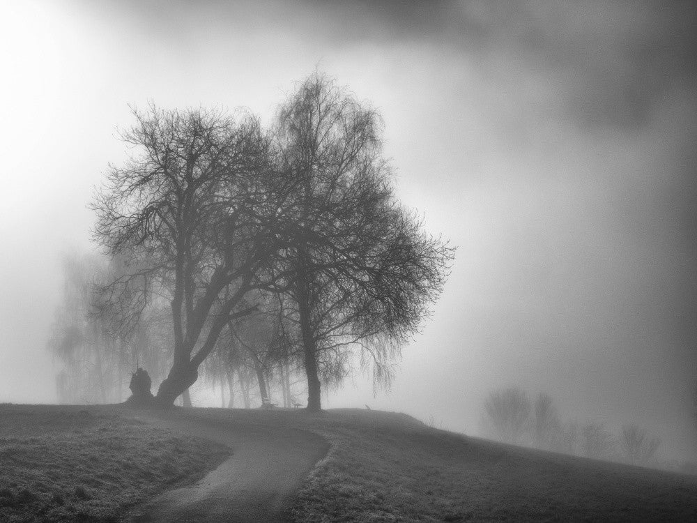november