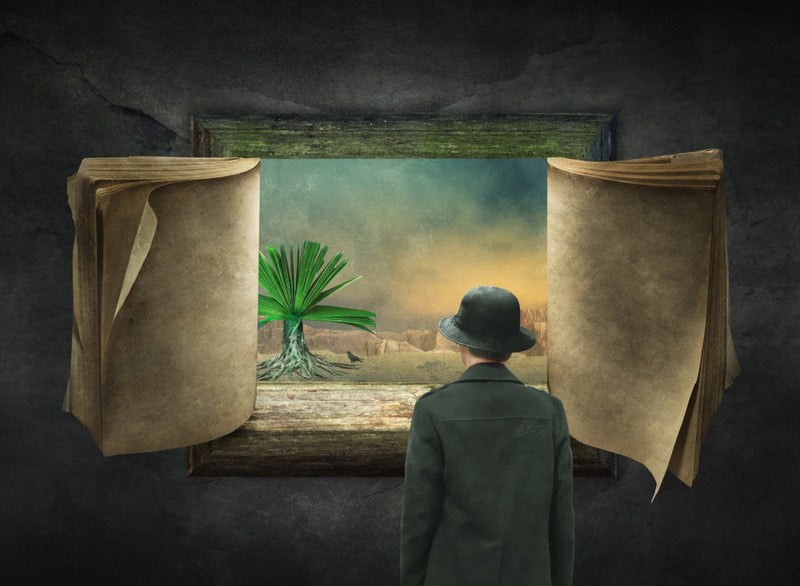 Window of Wisdom