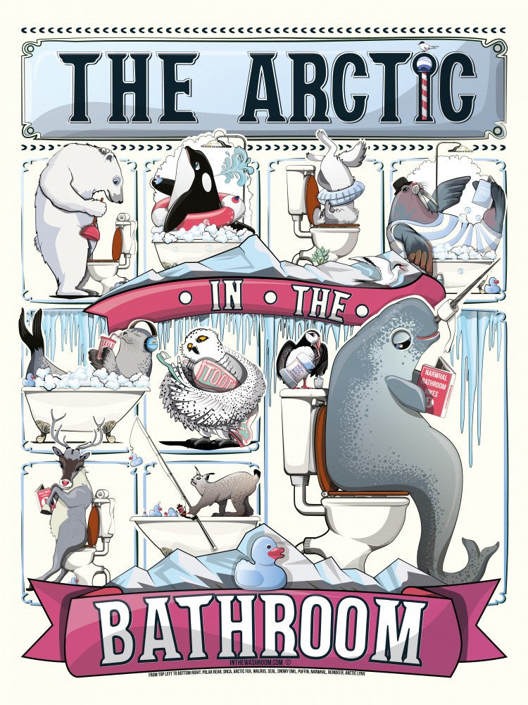 The Arctic In the Bathroom