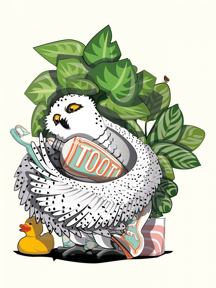 Snowy Owl Brushing Their Teeth