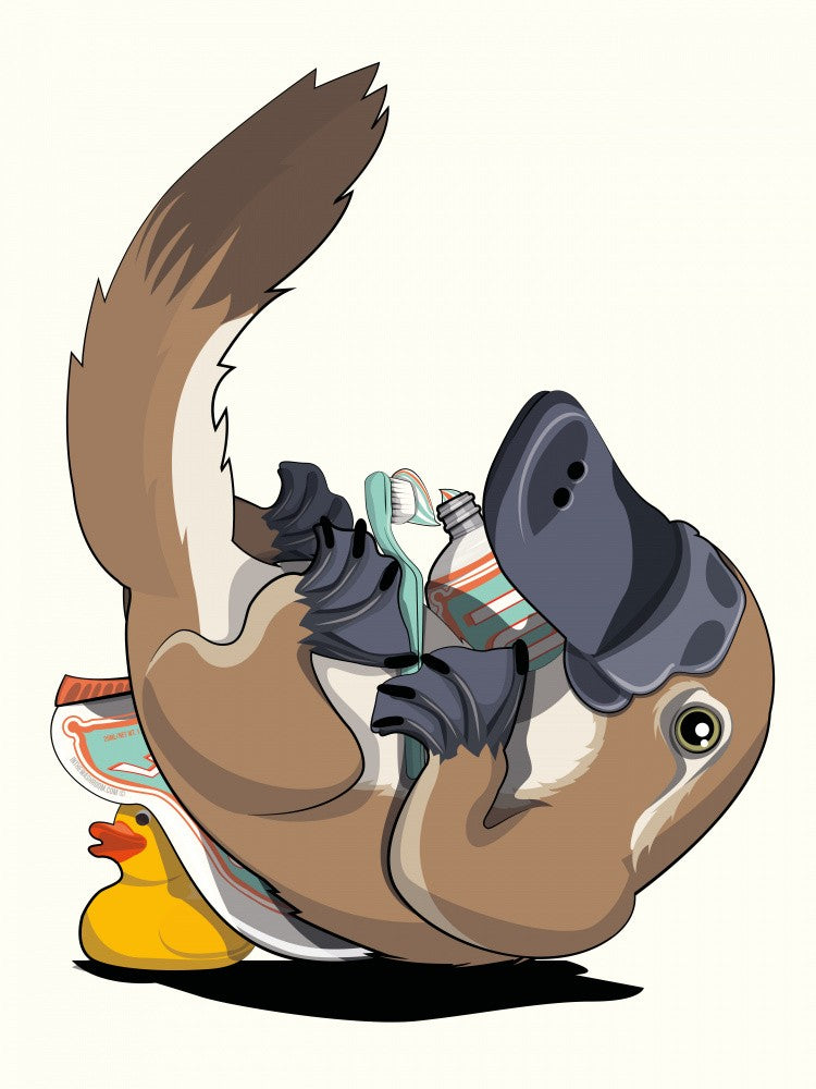 Australian Platypus Cleaning Teeth