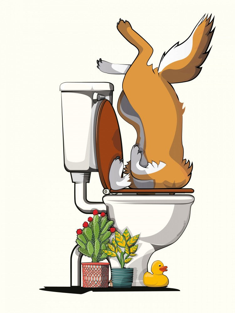 Australian Dingo In the Toilet