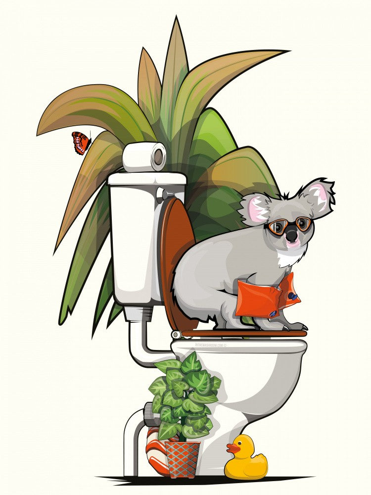 Australian Koala On the Toilet