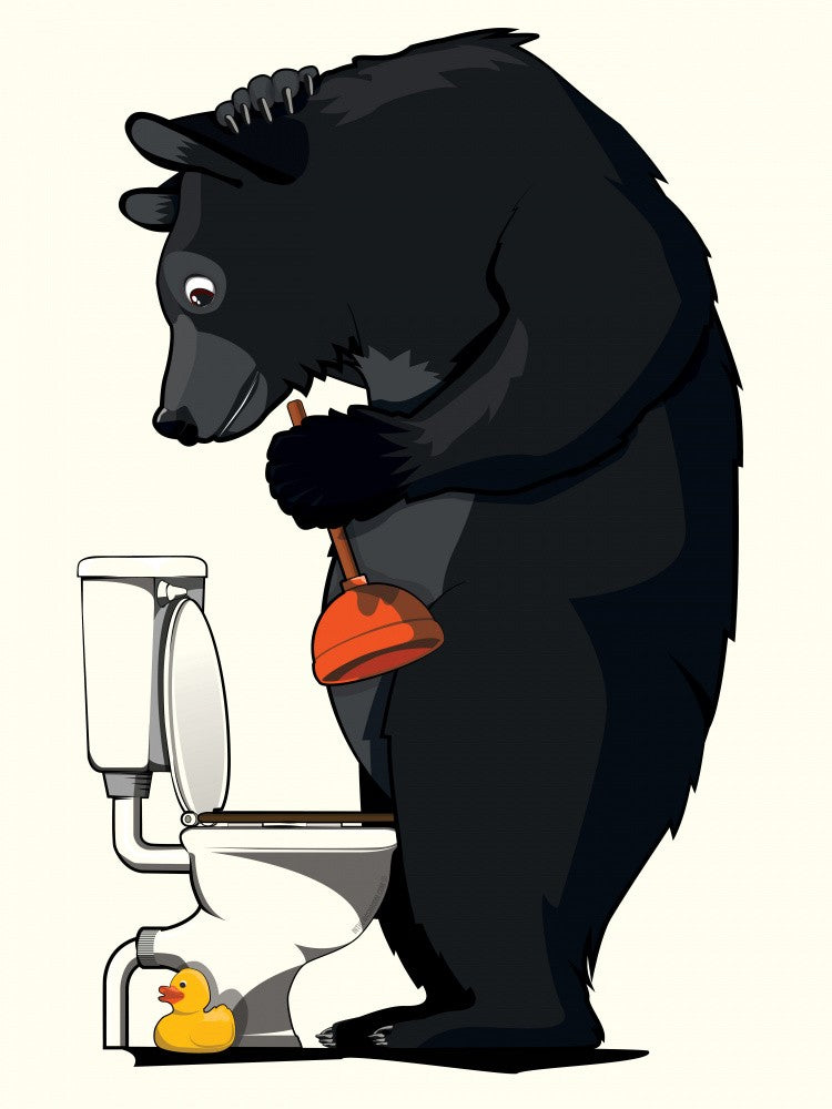 Black Bear Using the Toilet