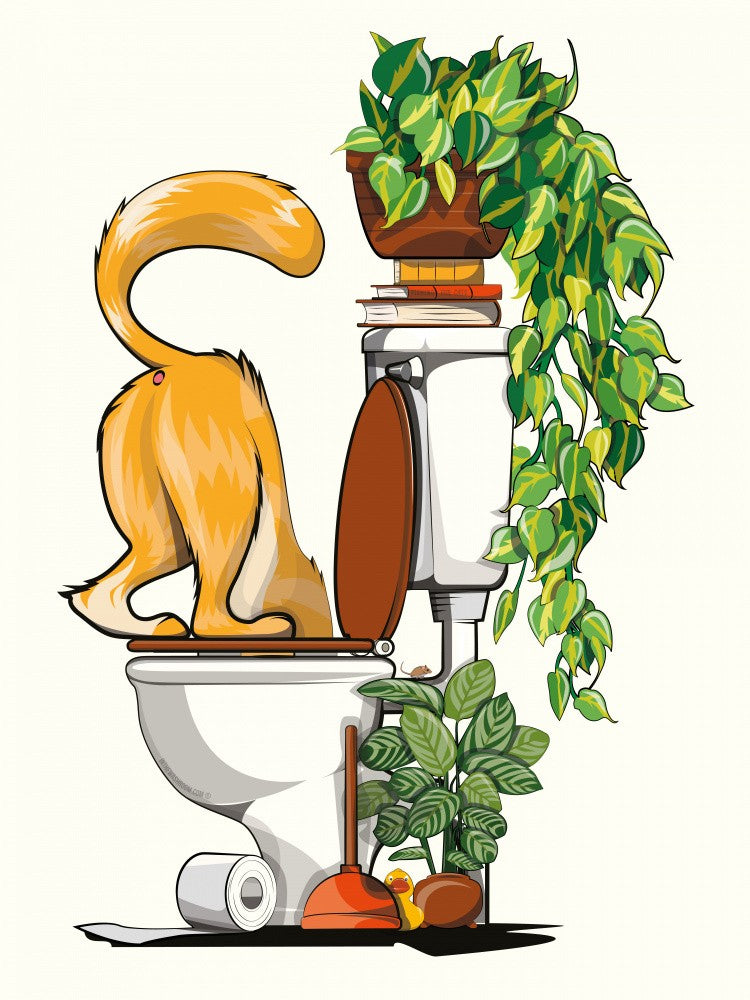 Cat Drinking From the Toilet