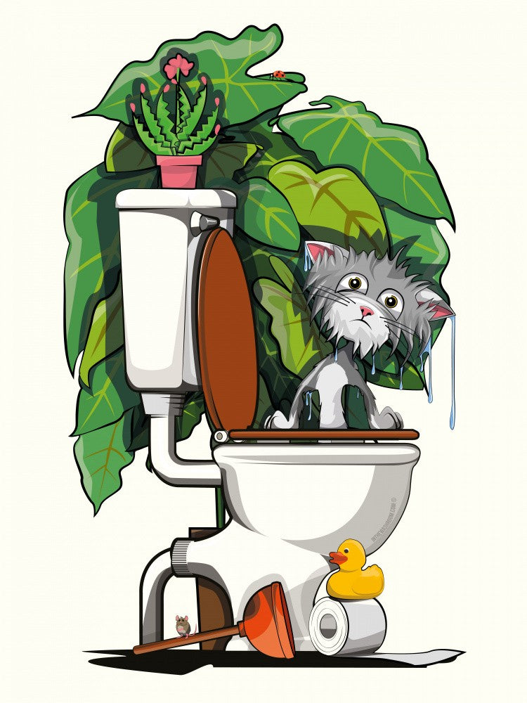 Wet Cat Fallen In Toilet