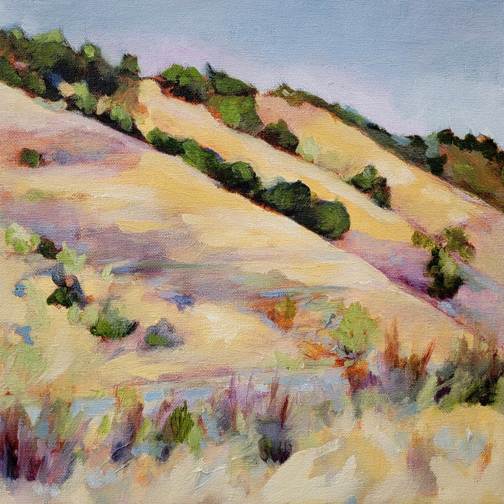 Central Coast