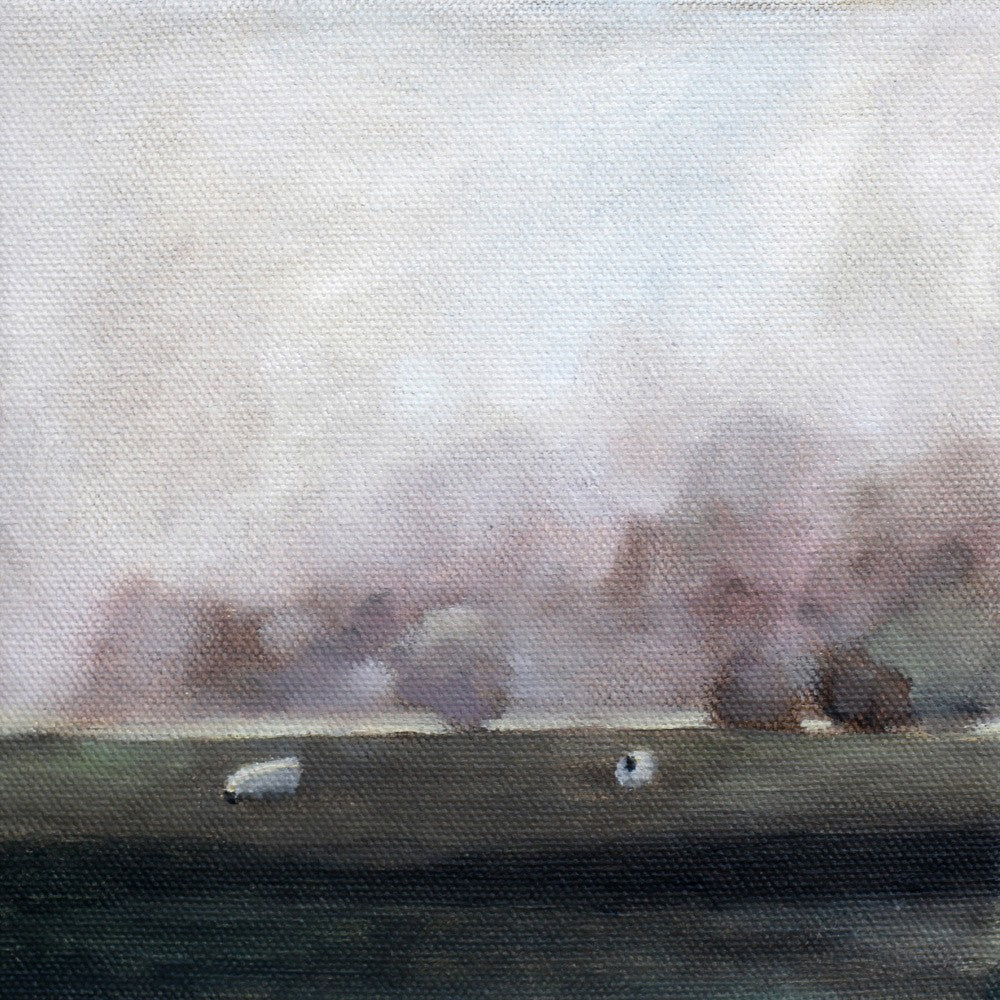 Sheep 15