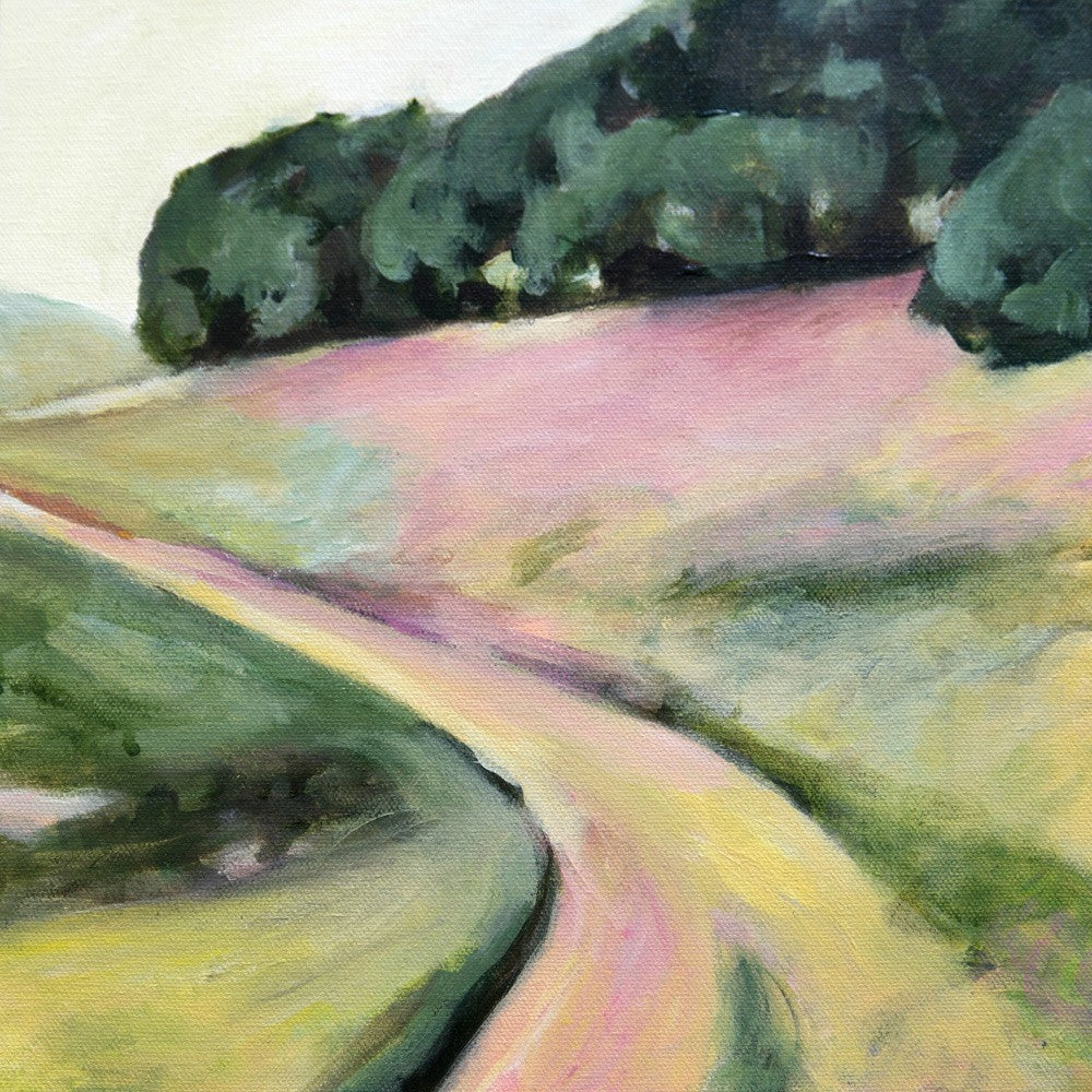 Pink Hills of Ca