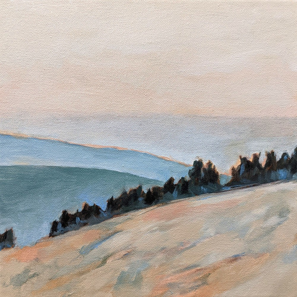Coastal Morning