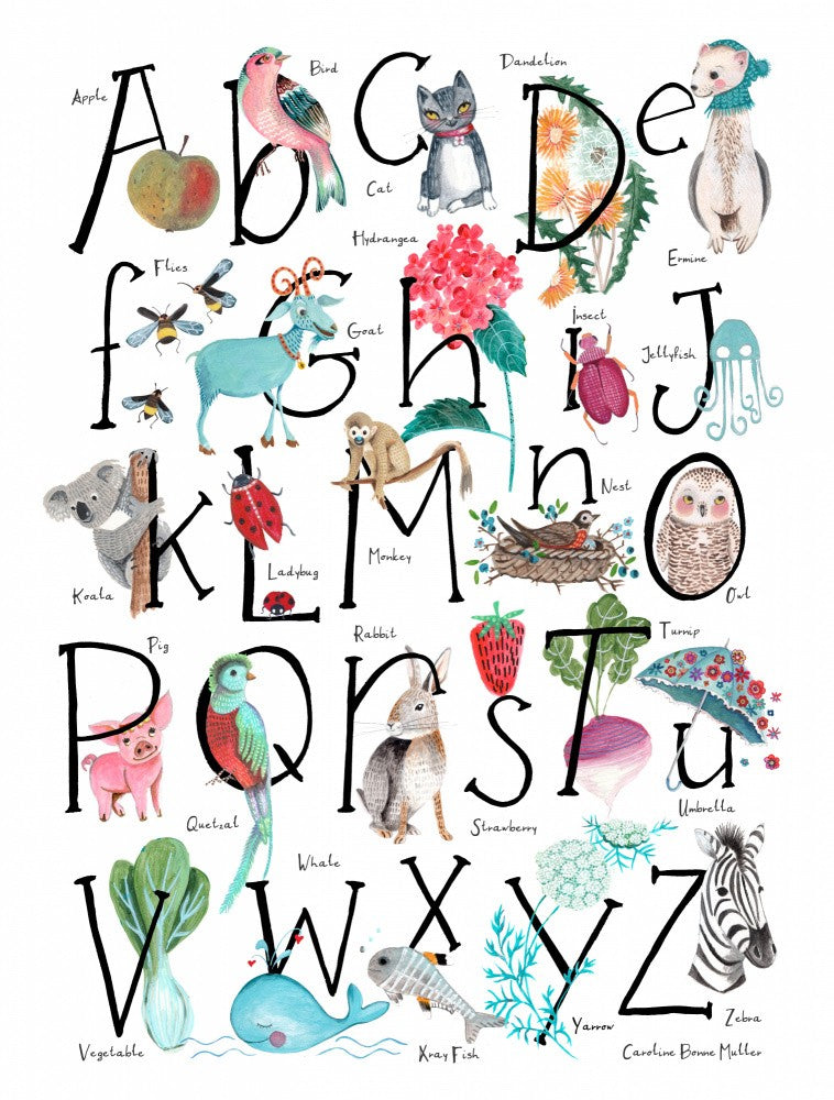 ABC illustration