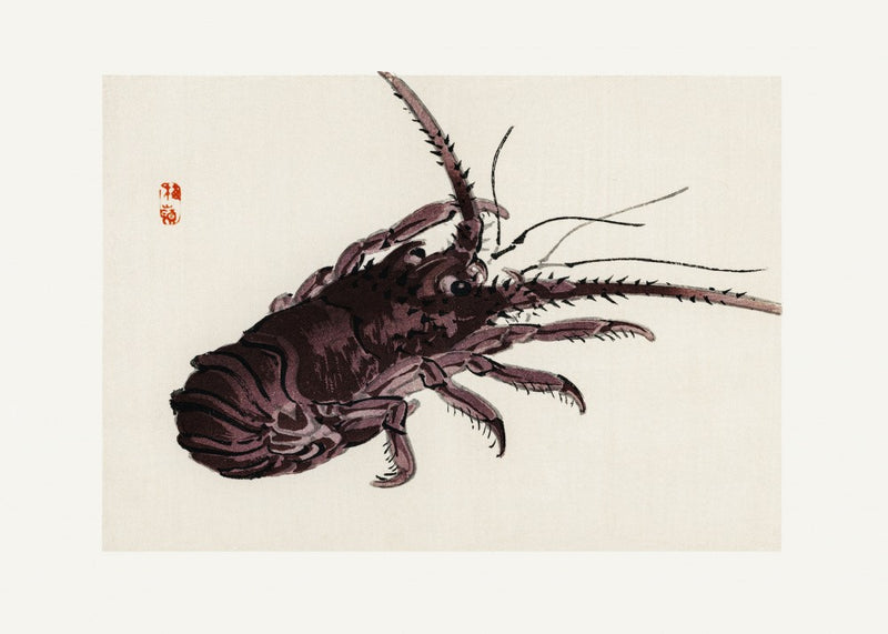 Crayfish