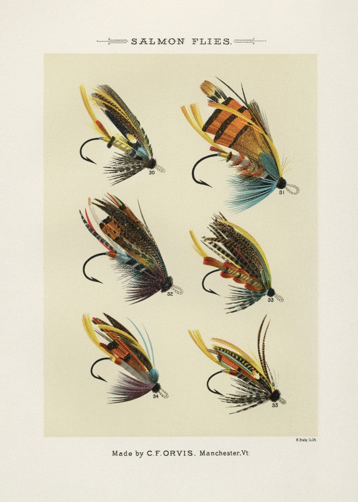 Salmon Fliee 1892