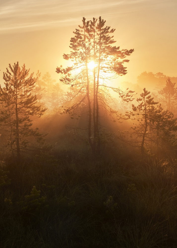 20220809  Dsf8009 Hdr 1