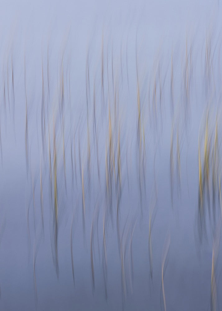 20221021  Dsf9741