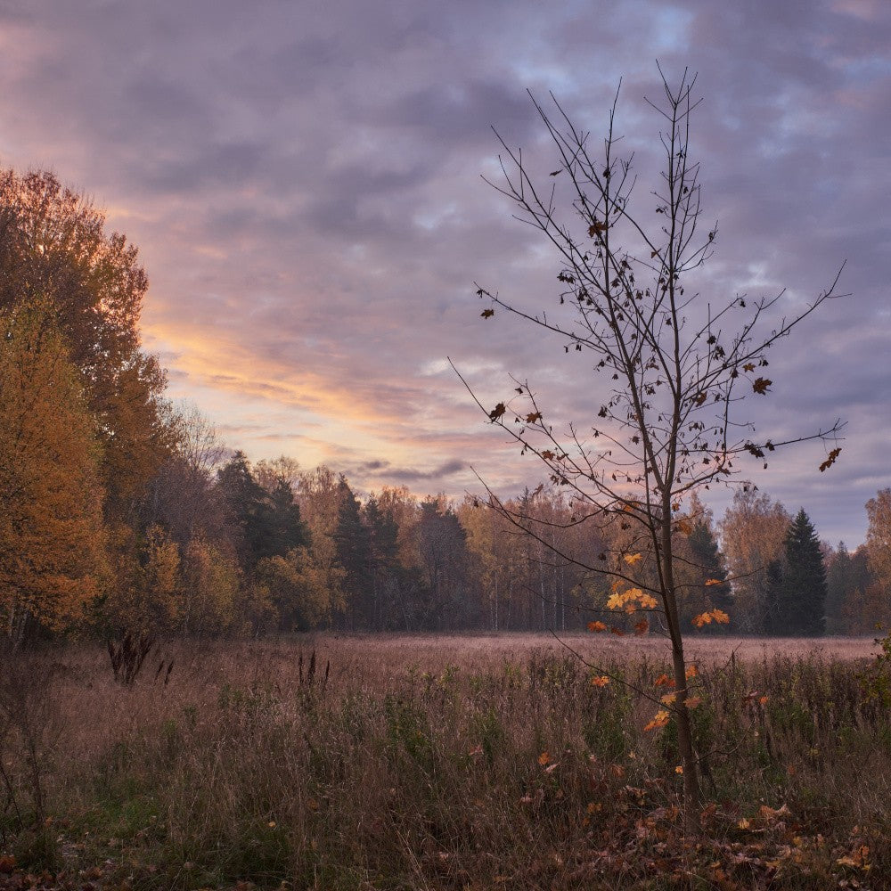 20221022  Dsf9812 Hdr 1