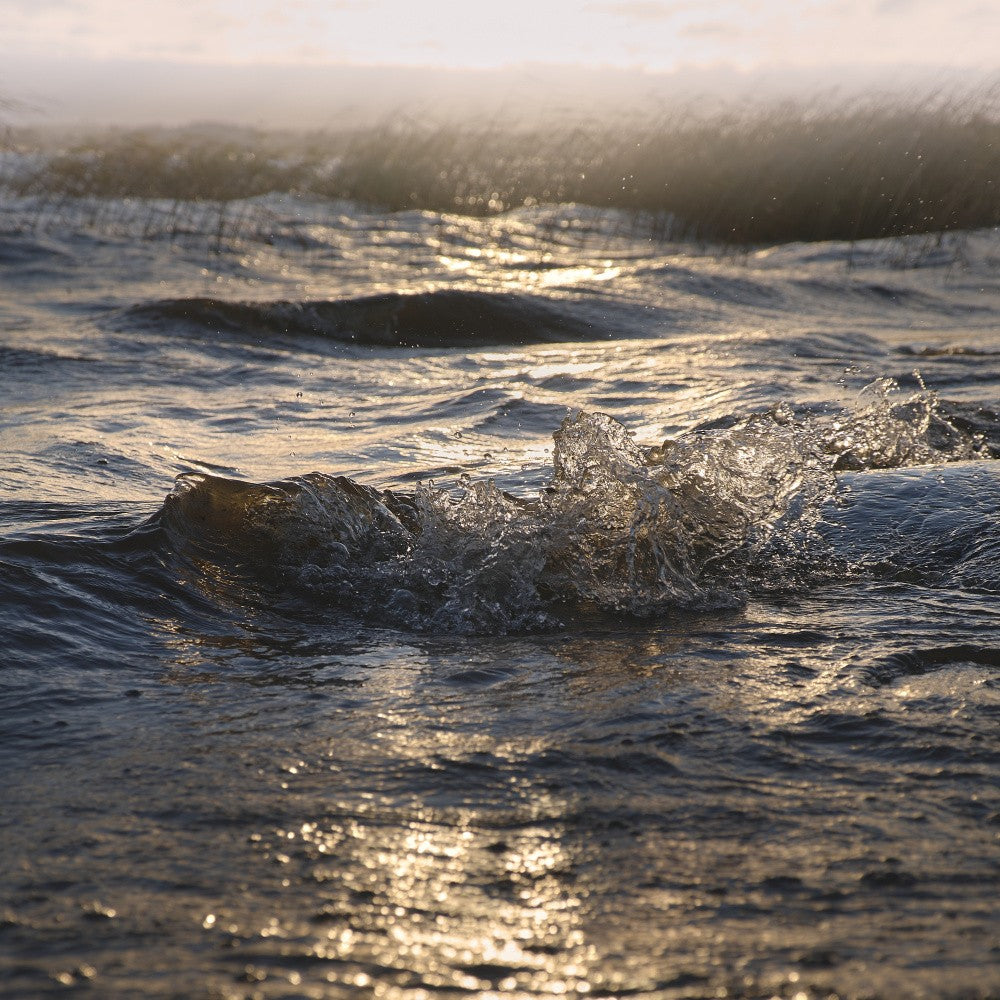 Wave