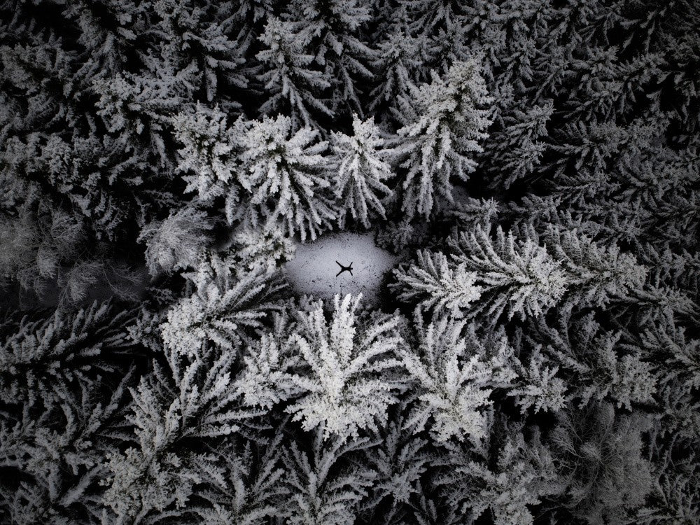 With love for winter