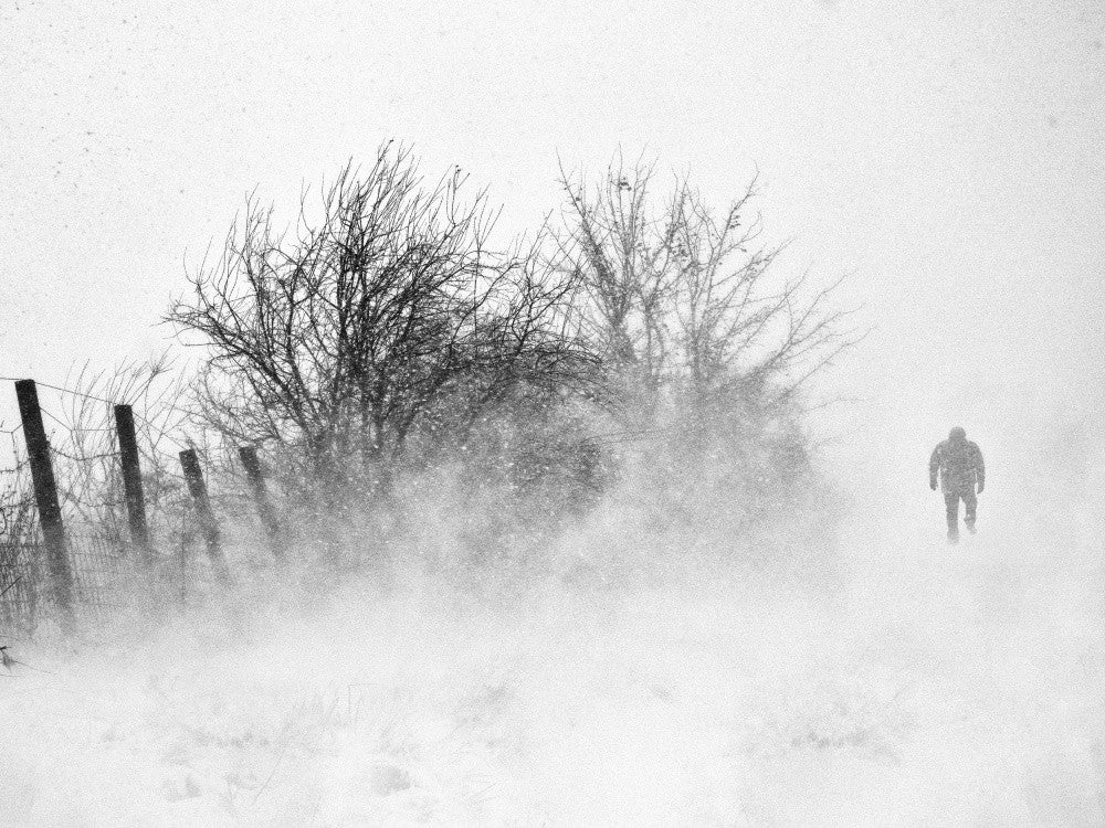 Danube Delta, November 2023