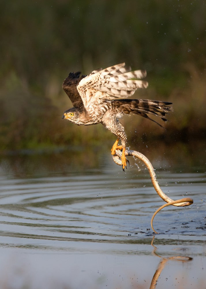 Fliegen mit mir