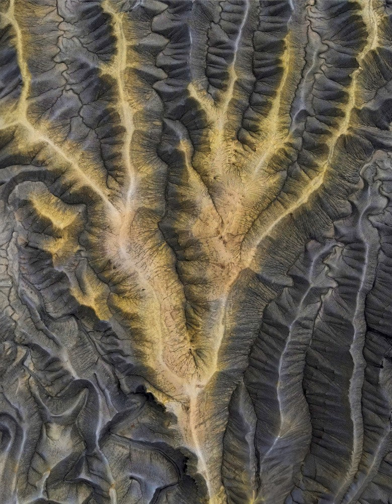 Golden branch
