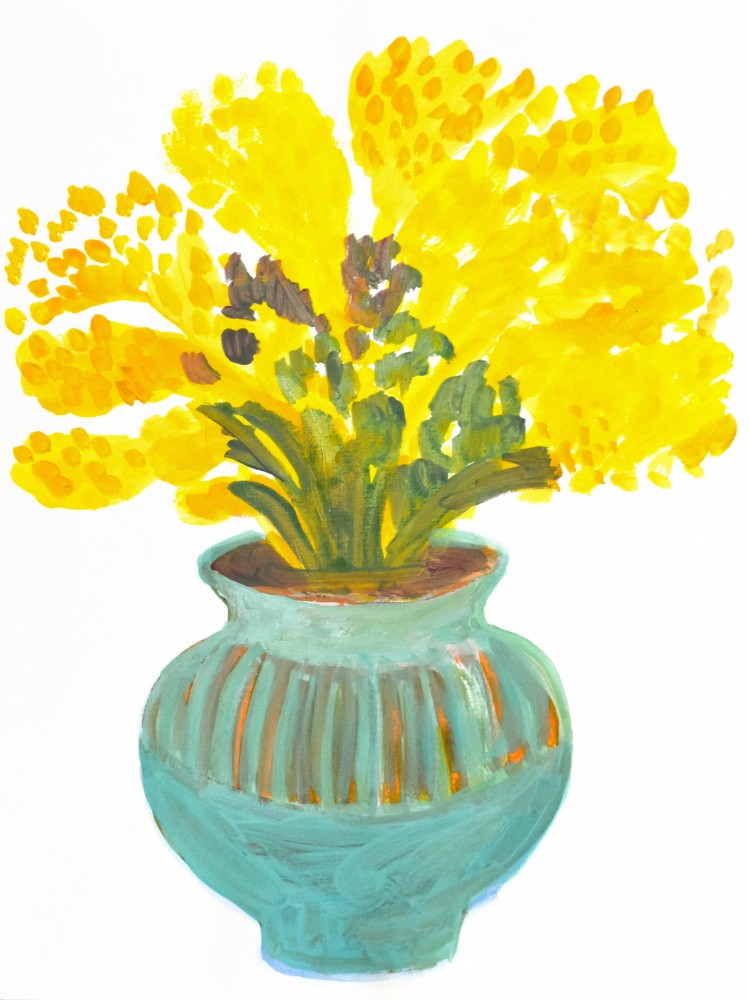 Mimosen