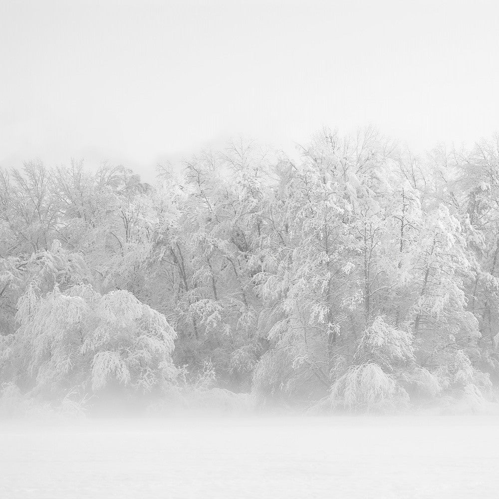 frozen