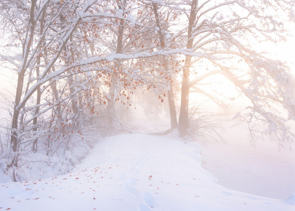 Winterlicht