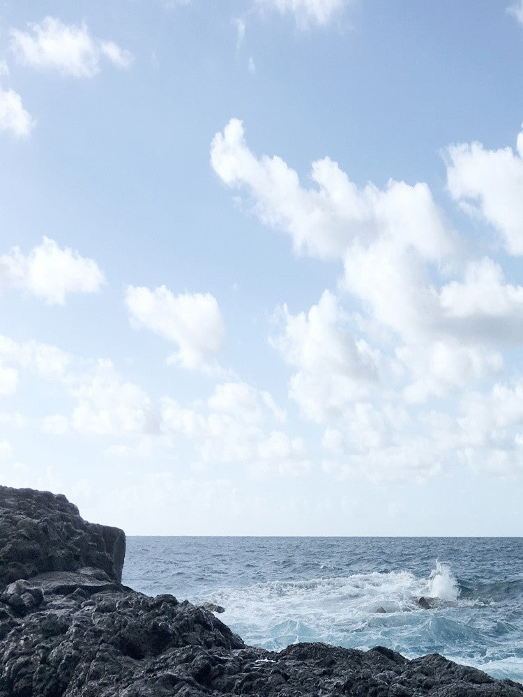 Coastal Living I