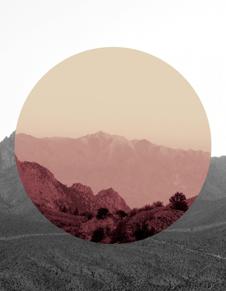 Shapes In Nature IV