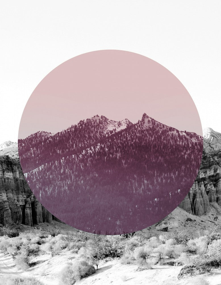 Shapes In Nature I