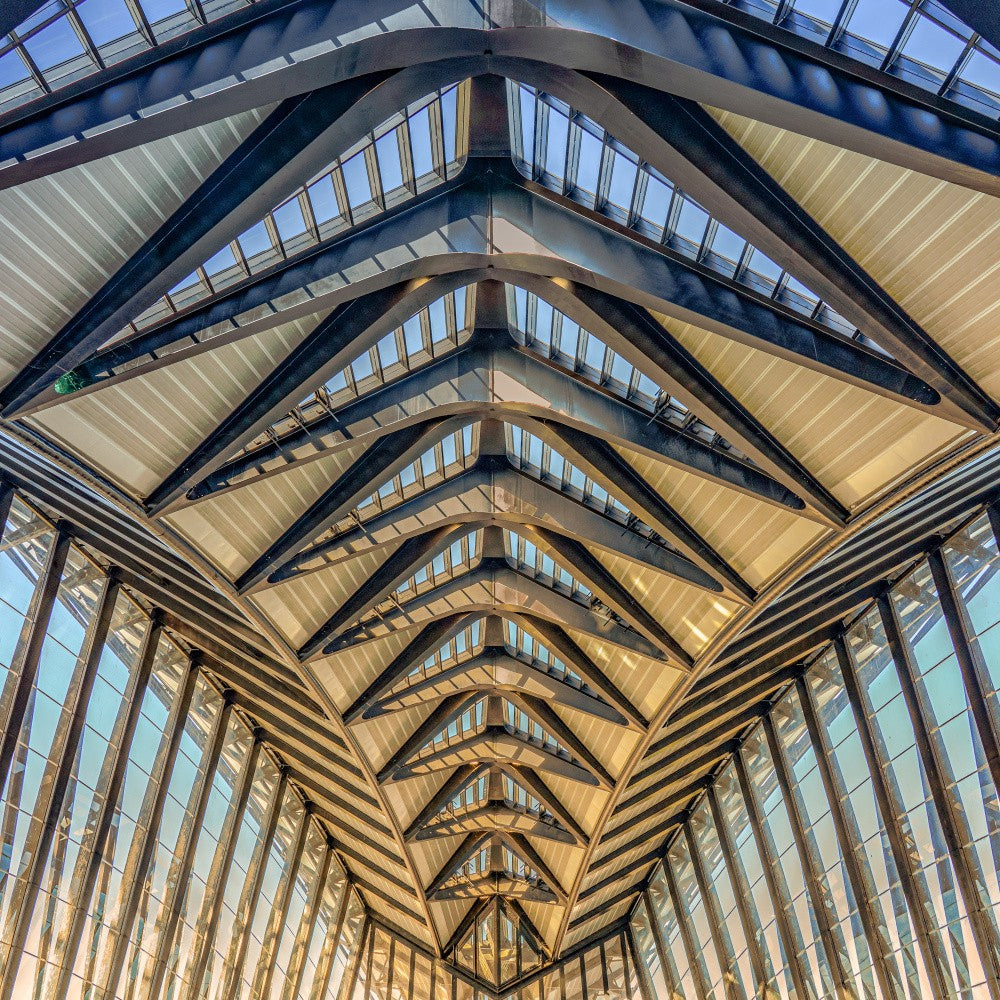 Arrowed roof