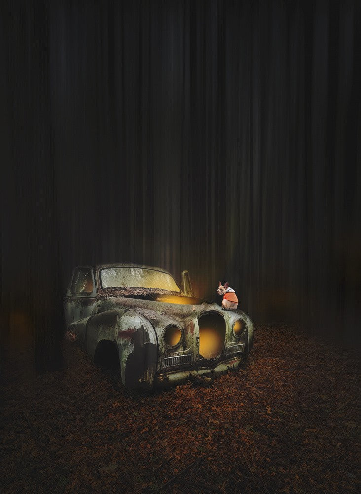 Junk yard