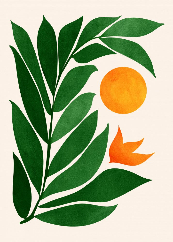 Tropical Forest Sunset